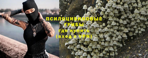 амф Абаза