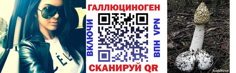 Галлюциногенные грибы MAGIC MUSHROOMS  МЕГА как войти  Нефтегорск 